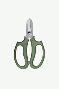 Straight Blade Scissor